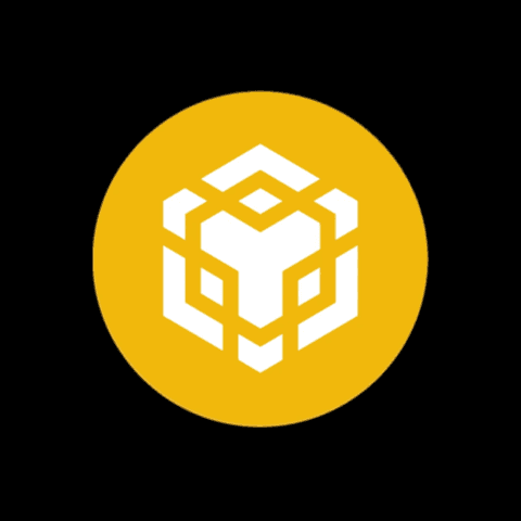 Another BNB ATH in 2025?